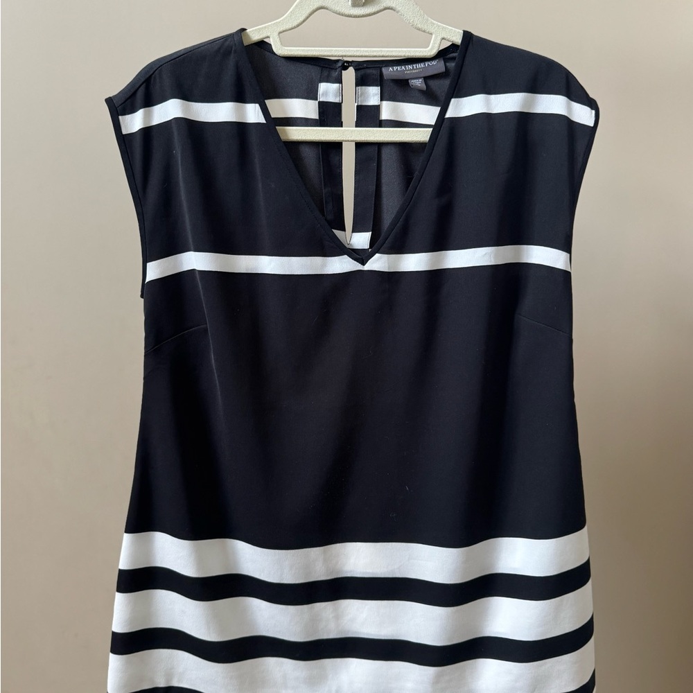 A Pea in the Pod Black and White Striped Blouse